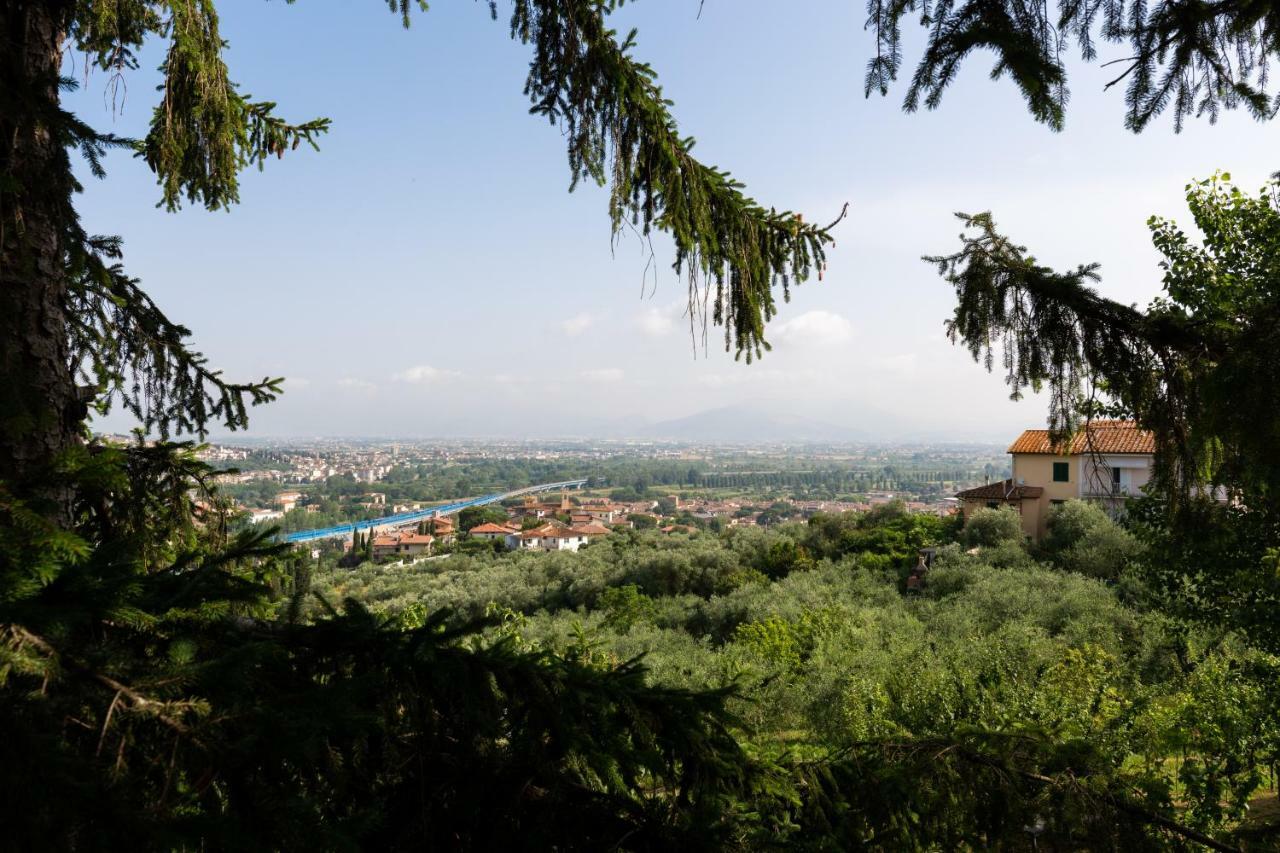 Villa Lysis ลาสตรา อา ซินญา ภายนอก รูปภาพ