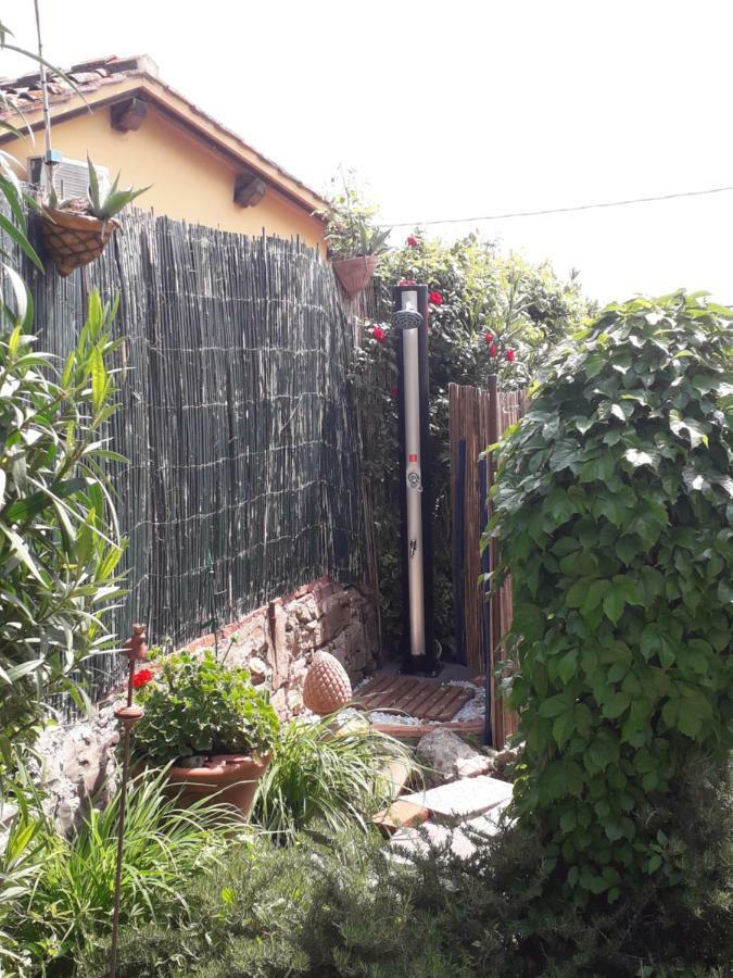 Villa Lysis ลาสตรา อา ซินญา ภายนอก รูปภาพ